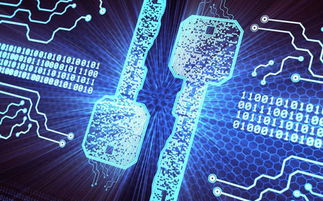 传统计算机将被量子计算机取代？中国在量子计算领域的战略布局与领先优势